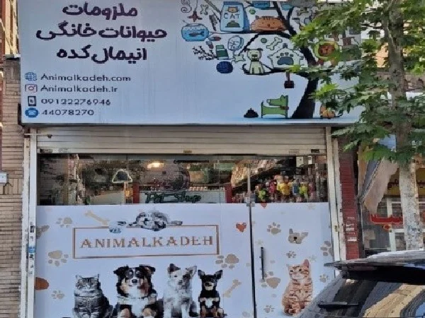 بهترین پت شاپ های تهران | پت شاپ انیمال کده