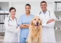 بهترین کلینیک های دامپزشکی کرج