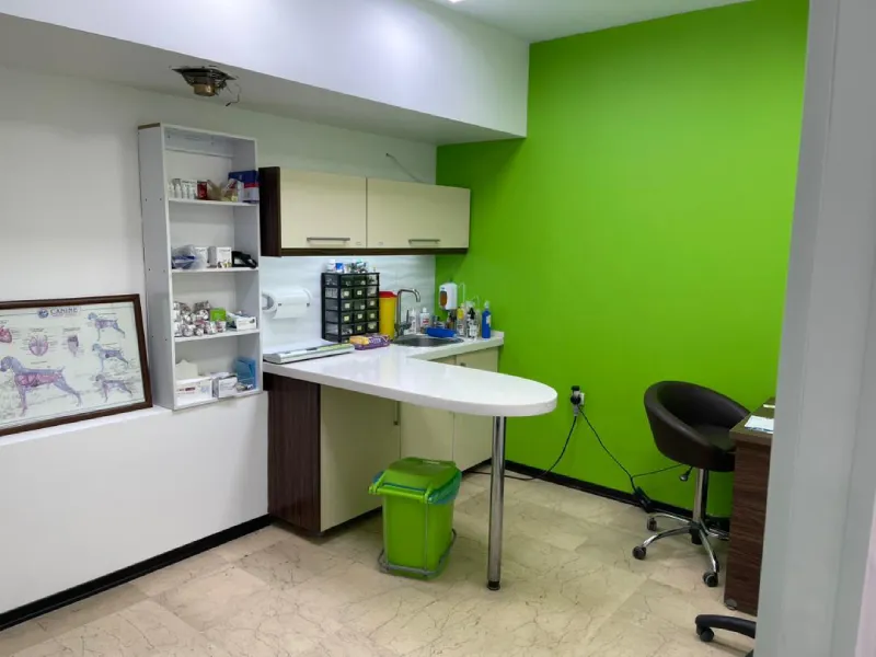 بیمارستان دامپزشکی ابوریحان در کرج | بهترین کلینیک های دامپزشکی در کرج