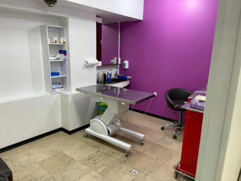 بیمارستان دامپزشکی ابوریحان در کرج | بهترین کلینیک های دامپزشکی در کرج