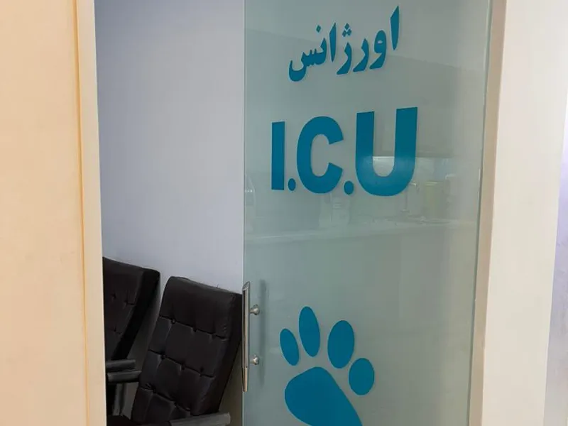 بیمارستان دامپزشکی ابوریحان در کرج | بهترین کلینیک های دامپزشکی در کرج