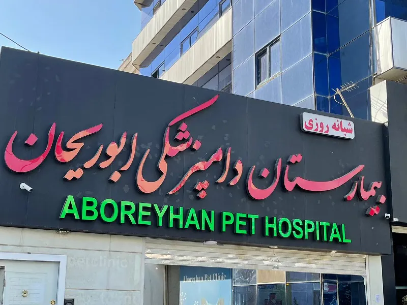 بیمارستان دامپزشکی ابوریحان در کرج | بهترین کلینیک های دامپزشکی در کرج