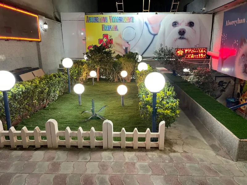 بیمارستان دامپزشکی ابوریحان در کرج | بهترین کلینیک های دامپزشکی در کرج