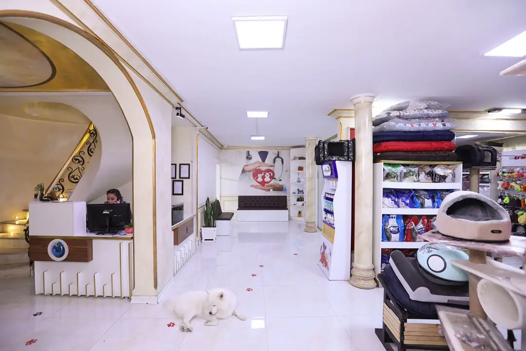 پانسیون حیوانات خانگی در تهران