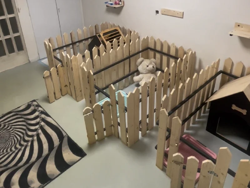 هتل پانسیون سگ و گربه پاستیل در غرب تهران