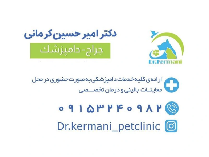 بهترین کلینیک های دامپزشکی در مشهد - کلینیک دامپزشکی کرمانی
