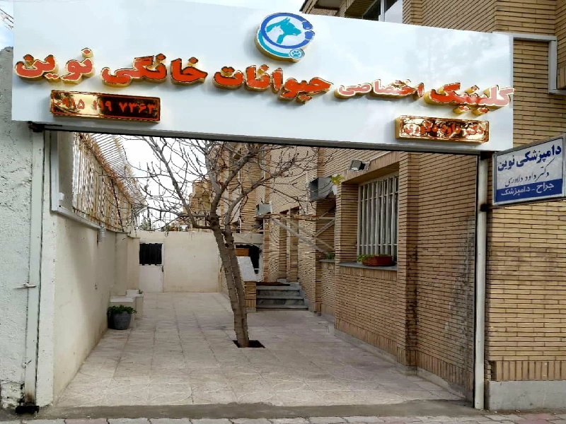 بهترین کلینیک های دامپزشکی در مشهد-کلینیک دامپزشکی نوین