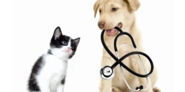 بهترین کلینیک های دامپزشکی در مشهد