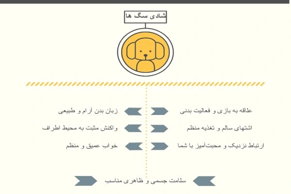 آیا سگ شما واقعاً خوشحال است؟ 7 نشانه که باید بدانید!