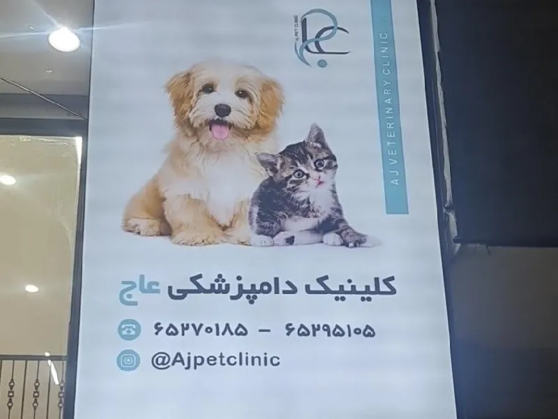 لیست بهترین کلینیک های دامپزشکی در شهریار و اندیشه - کلینیک عاج