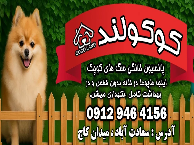 پانسیون حیوانات خانگی در تهران - مراکز نگهداری حیوانات خانگی در تهران - پانسیون سگ در تهران - هتل پانسیون حیوانات در تهران - پانسیون کوکولند