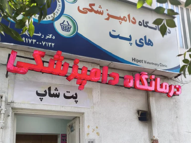 لیست بهترین پت شاپ های شیراز - پت شاپ در شیراز - پت شاپ هایپت - آدرس و شماره پت شاپ های شیراز