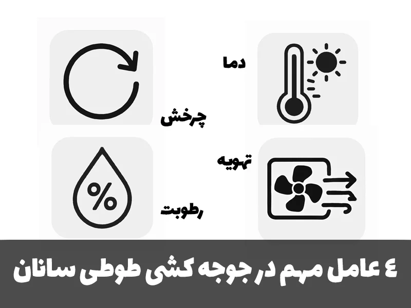 بهترین دستگاه جوجه کشی برای طوطی سانان