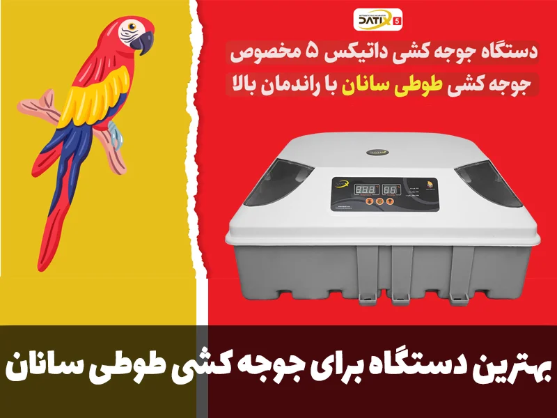 بهترین دستگاه جوجه کشی برای طوطی سانان