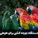 بهترین دستگاه جوجه کشی برای طوطی سانان