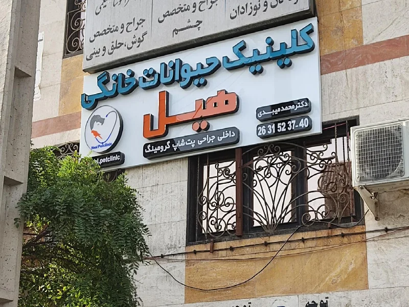لیست معرفی معتبر ترین و بهترین کلینیک های دامپزشکی در شرق تهران - کلینیک دامپزشکی در تهرانپارس - کلینیک دامپزشکی در رسالت تهران - آدرس و شماره تماس کلینیک های دامپزشکی شرق تهران - کلینیک دامپزشکی هیل