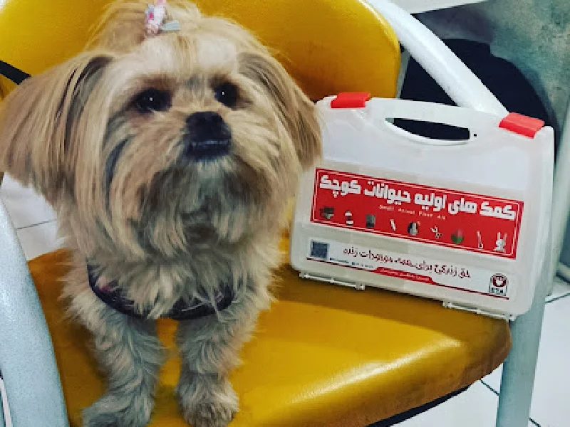 لیست معرفی معتبر ترین و بهترین کلینیک های دامپزشکی در شرق تهران - کلینیک دامپزشکی در تهرانپارس - کلینیک دامپزشکی در رسالت تهران - آدرس و شماره تماس کلینیک های دامپزشکی شرق تهران - کلینیک دامپزشکی ظفر