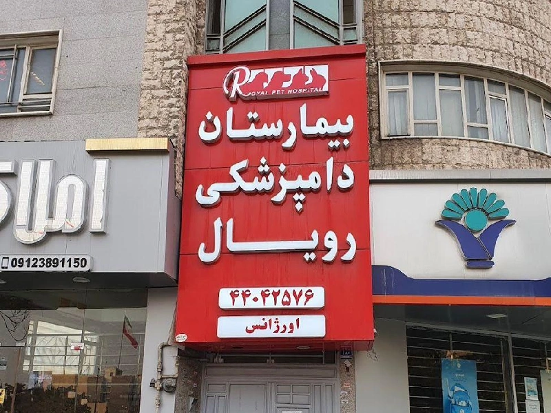 بهترین کلینیک های دامپزشکی در غرب تهران - لیست کلینیک های دامپزشکی غرب تهران - بیمارستان های دامپزشکی شبانه روزی غرب تهران - بیمارستان دامپزشکی رویال