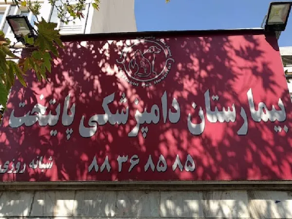 بهترین کلینیک های دامپزشکی در غرب تهران - لیست کلینیک های دامپزشکی غرب تهران - بیمارستان های دامپزشکی شبانه روزی غرب تهران - بیمارستان شبانه روزی دامپزشکی پایتخت