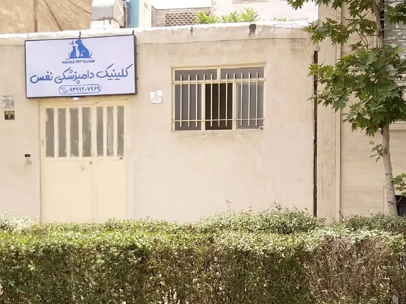 بهترین کلینیک های دامپزشکی در غرب تهران - لیست کلینیک های دامپزشکی غرب تهران - بیمارستان های دامپزشکی شبانه روزی غرب تهران - کلینیک دامپزشکی نفس