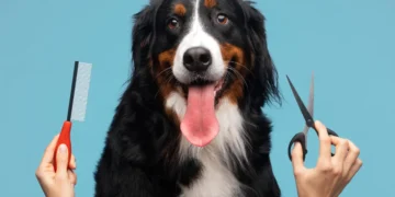 اصلاح و شستشو حیوانات خانگی در شهریار و اندیشه | سگ و گربه - آرایشگاه سگ و گربه در اندیشه و شهریار