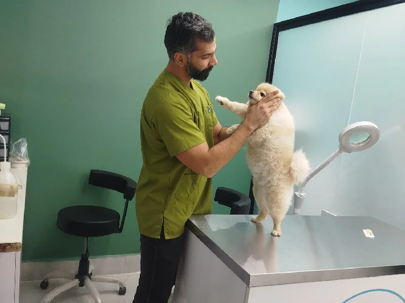 لیست بهترین کلینیک های دامپزشکی در قم - مجموعه دکتر گیوه چی