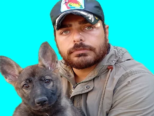 بهترین مربی های سگ در شهریار | آموزش سگ پت لند شهریار