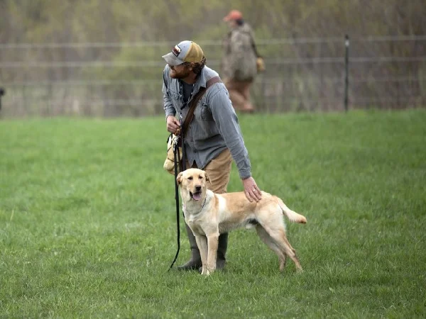 بهترین مربی های سگ در شهریار | مربی سجاد قصری