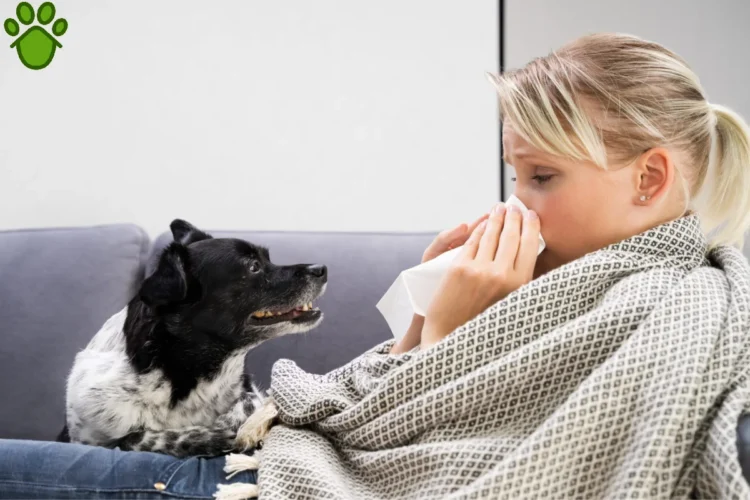 آیا بیماری پاروا سگ به انسان منتقل می‌شود؟