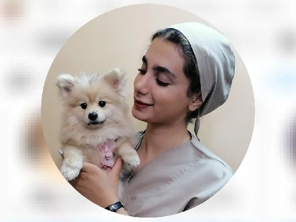 لیست بهترین مراکز آرایشگاه سگ و گربه در مشهد | شماره تماس + آدرس و لوکیشن