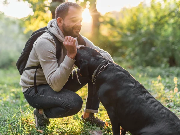 آدرس و شماره بهترین مربی سگ در مشهد | آدرس اینستاگرام