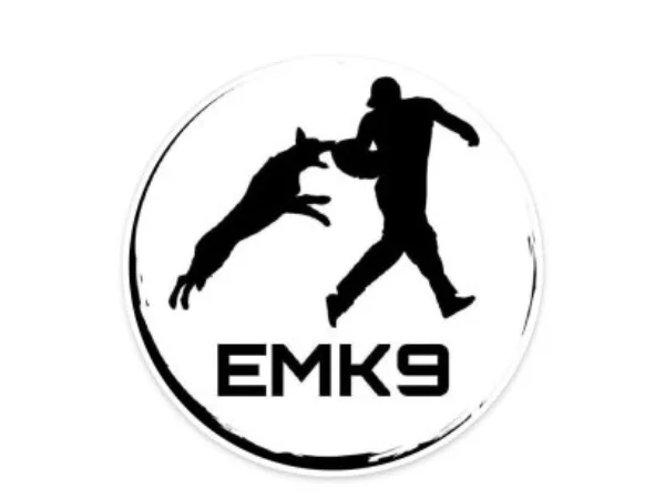 آدرس و شماره بهترین مربی های سگ در مشهد | آدرس اینستاگرام