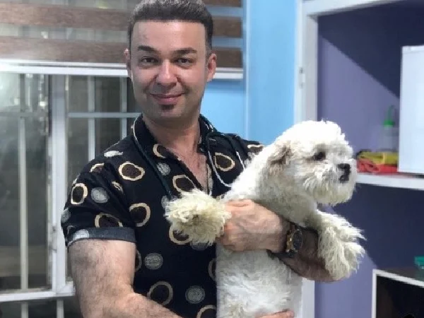 بهترین پانسیون های سگ و گربه در مشهد | پانسیون سگ آریا