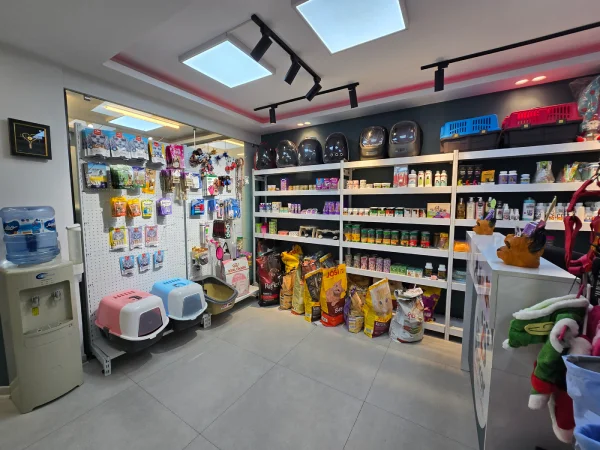 کلینیک دامپزشکی دکتر پرکار در تهران | بهترین کلینیک های دامپزشکی تهران