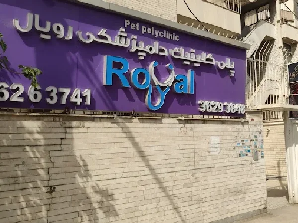 بهترین مراکز آرایشگاه حیوانات خانگی در شیراز | اصلاح موی سگ و گربه رویال در شیراز