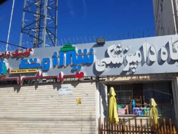 بهترین مراکز آرایشگاه حیوانات خانگی در شیراز | اصلاح موی سگ و گربه شیراز وت