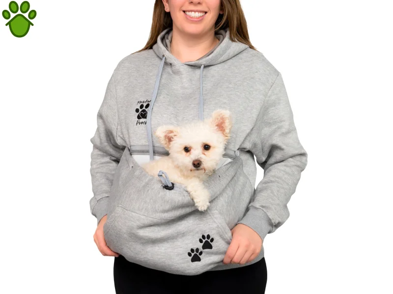 عکس های سگ جیبی