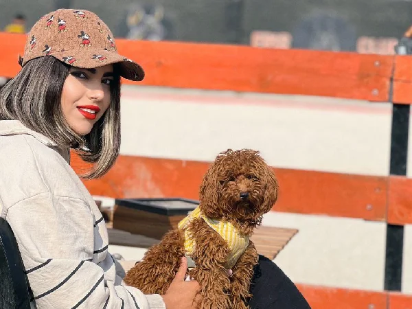 لیست بهترین مربی های سگ در اصفهان | مربی سگ خانم نگار آریان پور