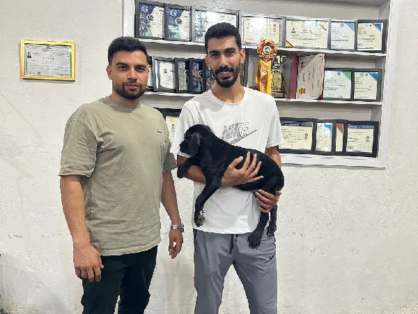 لیست بهترین مربی های سگ در اصفهان | مربی سگ آقای مهدی مشتاقیان