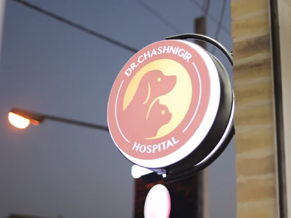 کلینیک ها و بیمارستان های دامپزشکی یزد | کلینیک دکتر چاشنی گیر