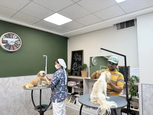 لیست بهترین آرایشگاه حیوانات در اصفهان | آرایشگاه سگ و گربه آریانا