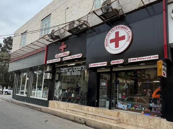 بهترین کلینیک های دامپزشکی قم | کلینیک پالاس