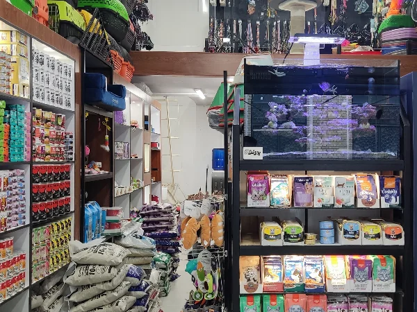 بهترین کلینیک های دامپزشکی قم | کلینیک پالاس