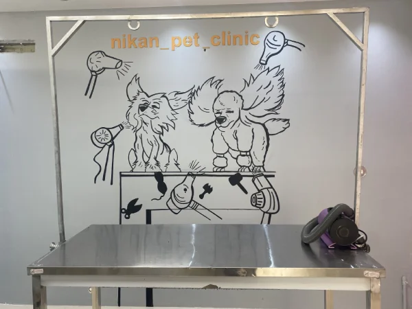 بهترین آرایشگاه حیوانات سگ و گربه در مشهد | آرایشگاه نیکان