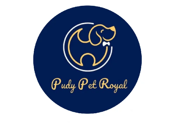 بهترین پانسیون سگ در تهران | پانسیون پودی پت