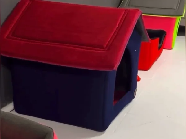 بهترین پانسیون سگ در تهران | پانسیون پودی پت