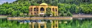 مراکز حیوانات خانگی تبریز