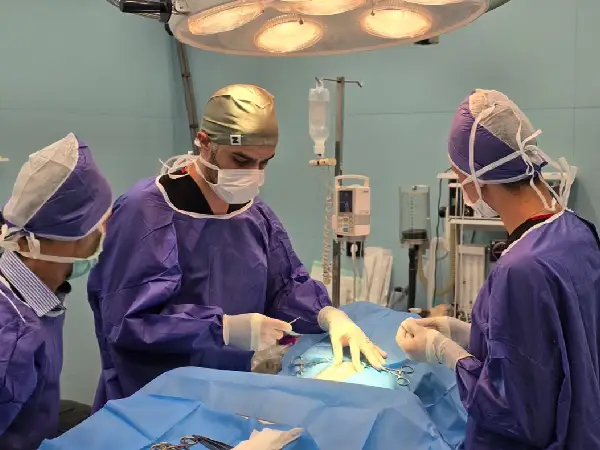 the-best-veterinary-clinics-in-isfahan