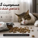 غذای خشک تقلبی ؛ قاتل خاموش حیوانات خانگی که باید بشناسید !