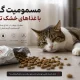 غذای خشک تقلبی ؛ قاتل خاموش حیوانات خانگی که باید بشناسید !